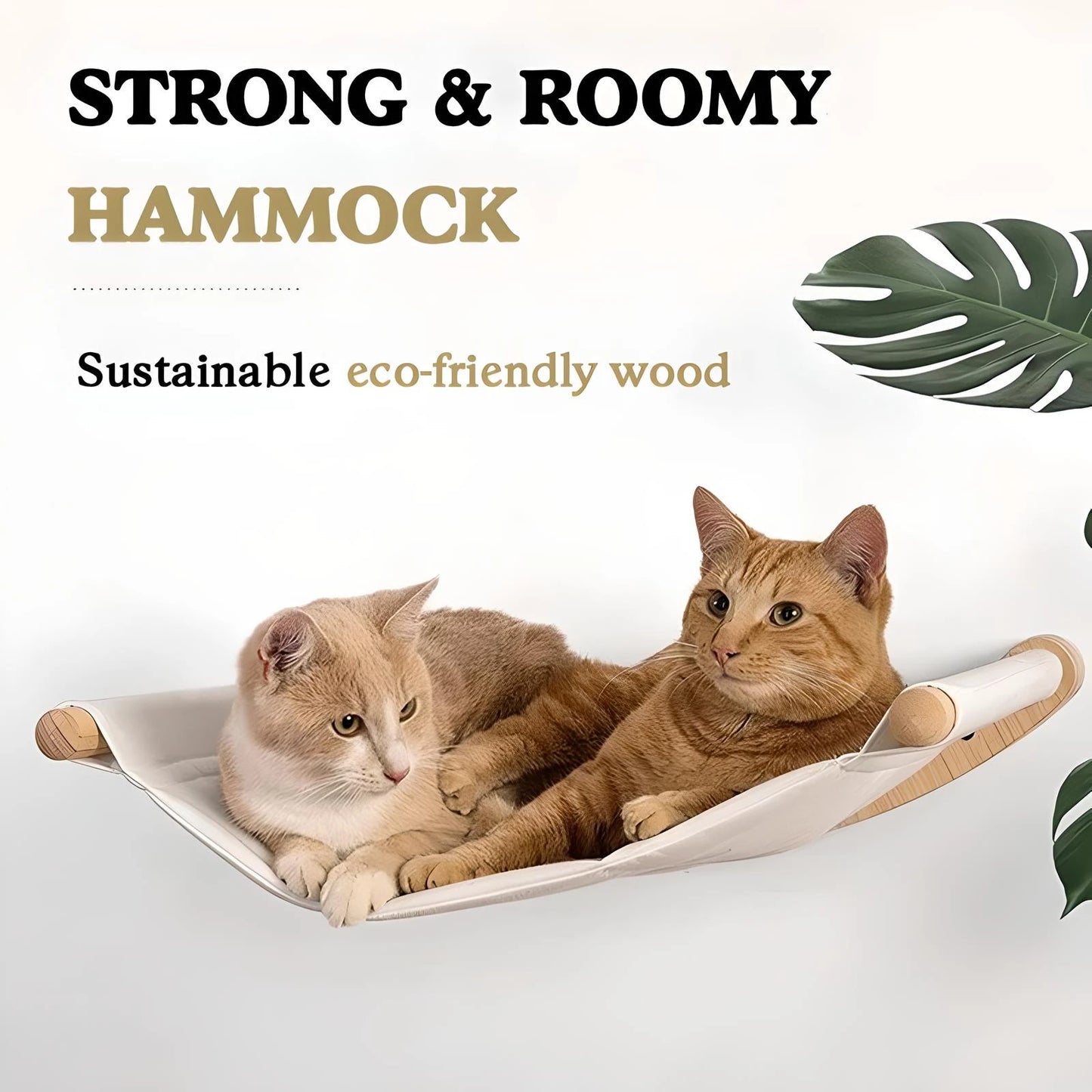 Wall-Mounted Cat Hammock & Shelves