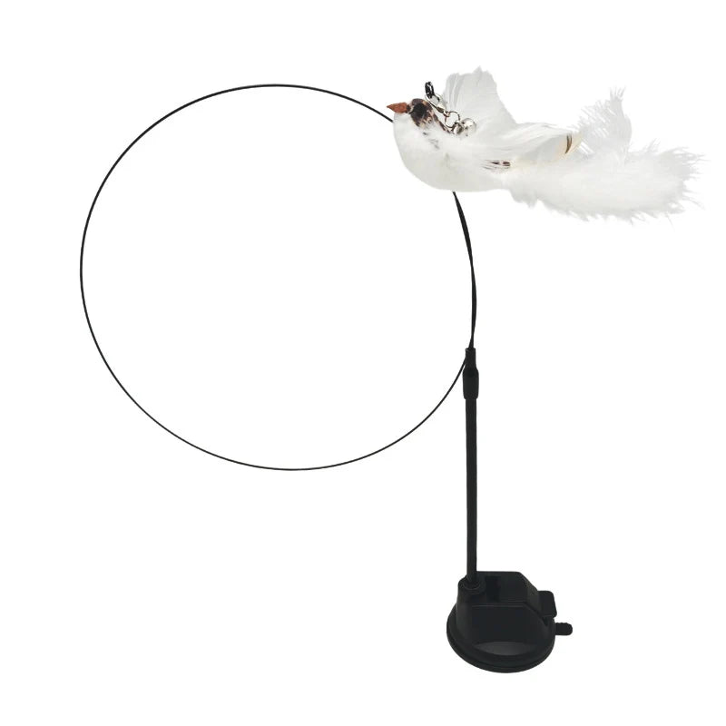 Suction Bird Feather Caty Toy