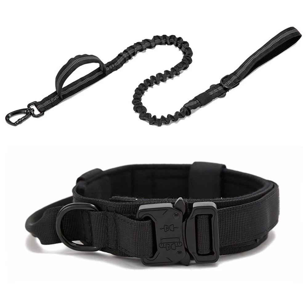 Nylon Pet Dog Collar & Leash Set