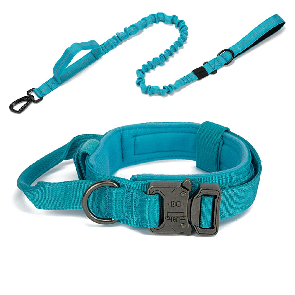 Nylon Pet Dog Collar & Leash Set