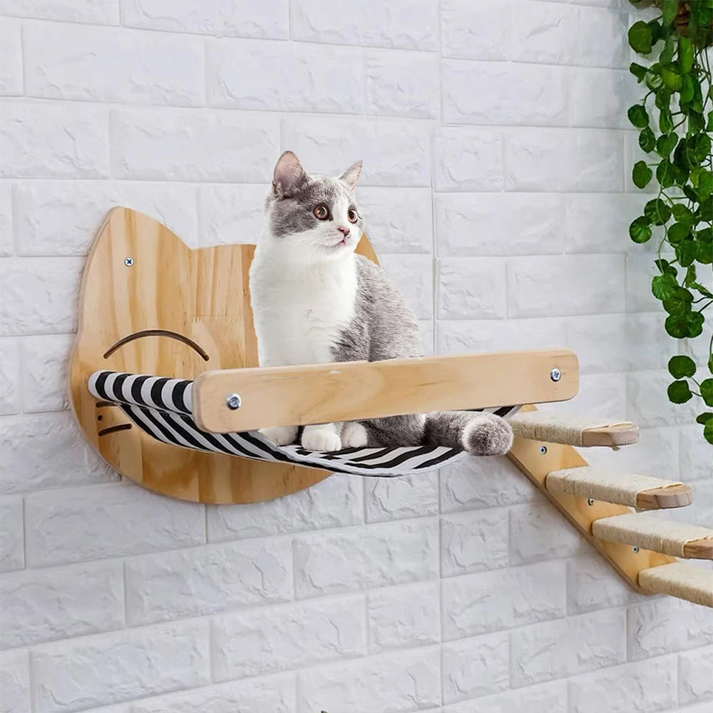 Wall-Mounted Cat Accessories