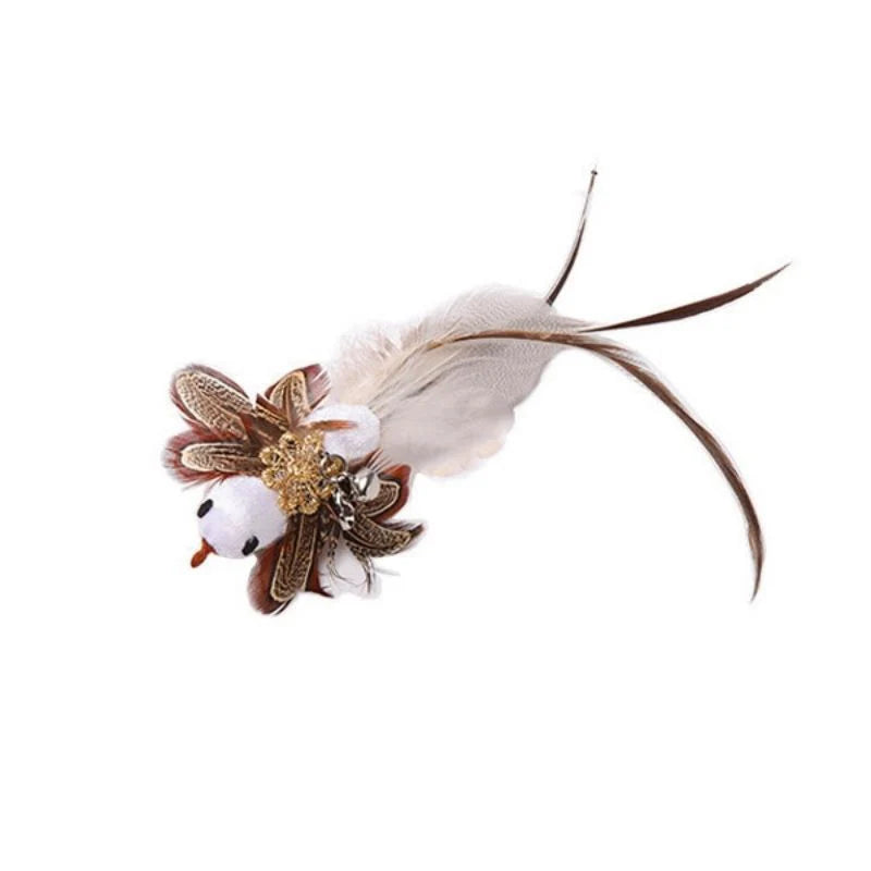 Suction Bird Feather Caty Toy