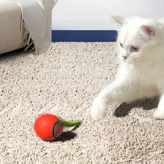 Smart Moving Cat Toy