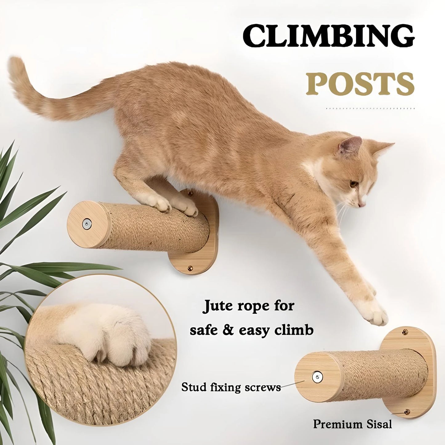 Wall-Mounted Cat Hammock & Shelves
