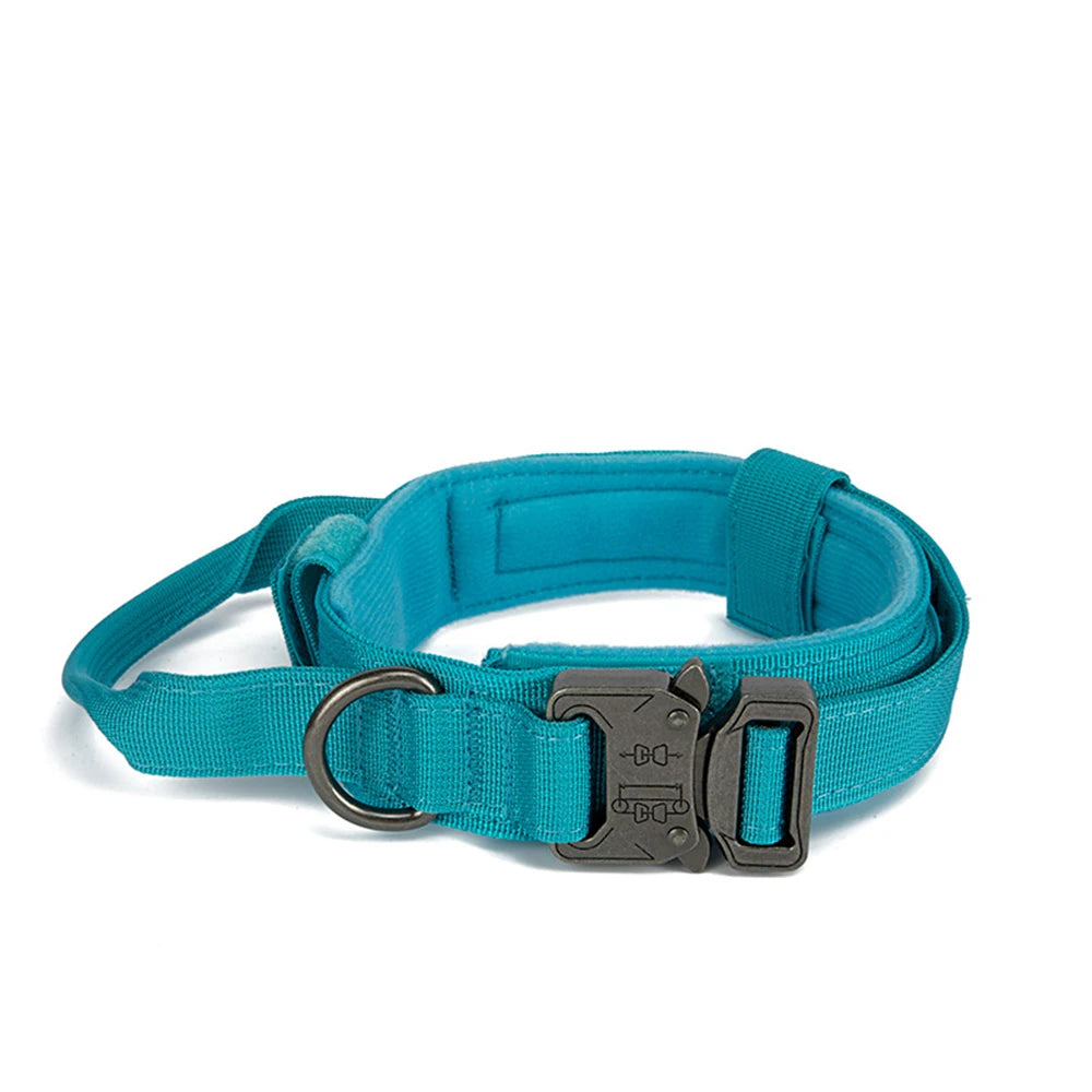 Nylon Pet Dog Collar & Leash Set