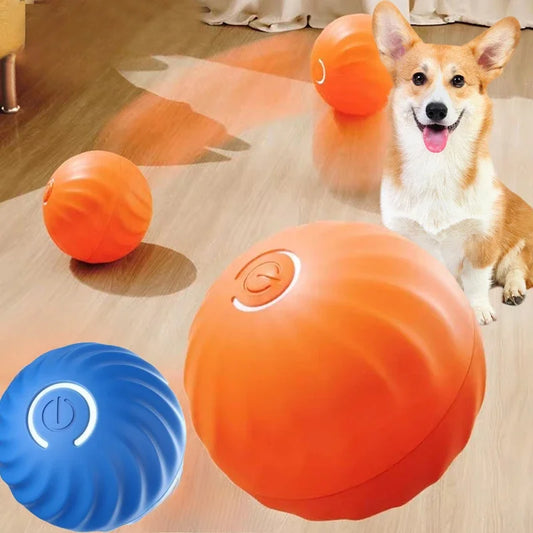 Dog Toy Ball