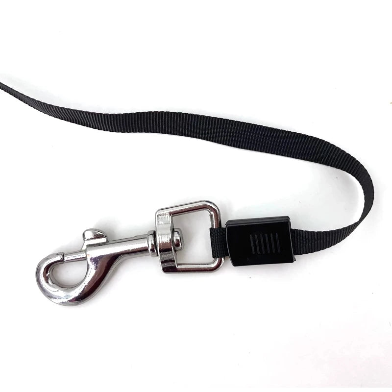 Retractable PetLeash