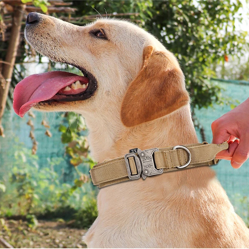 Nylon Pet Dog Collar & Leash Set