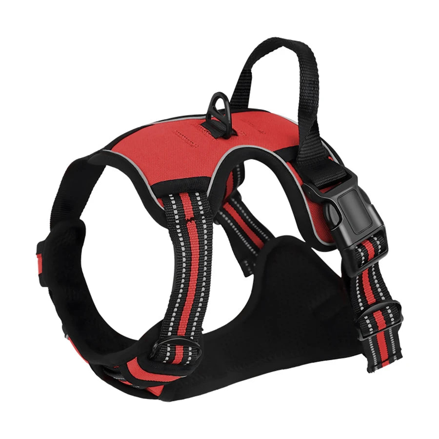 Dog Leash & Harness Set