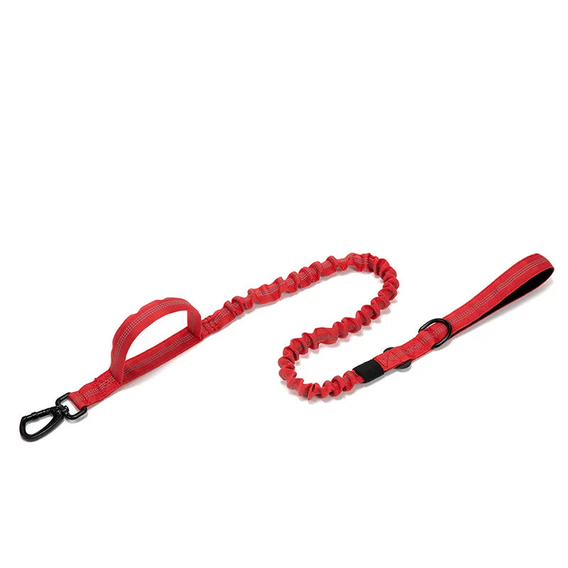 Nylon Pet Dog Collar & Leash Set