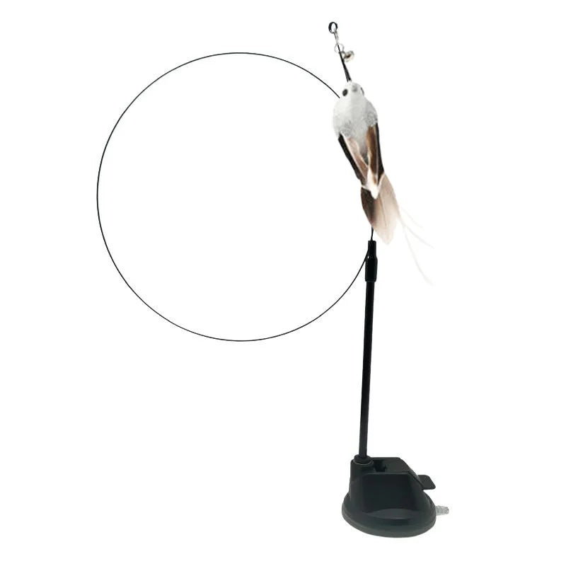 Suction Bird Feather Caty Toy