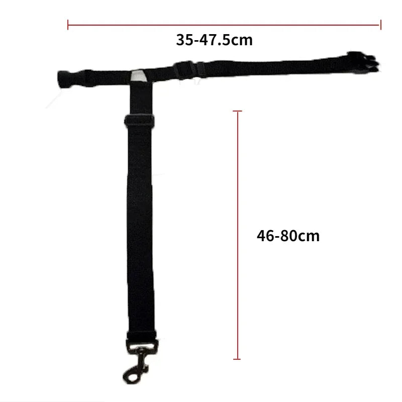Pet Seat Belt & Leash