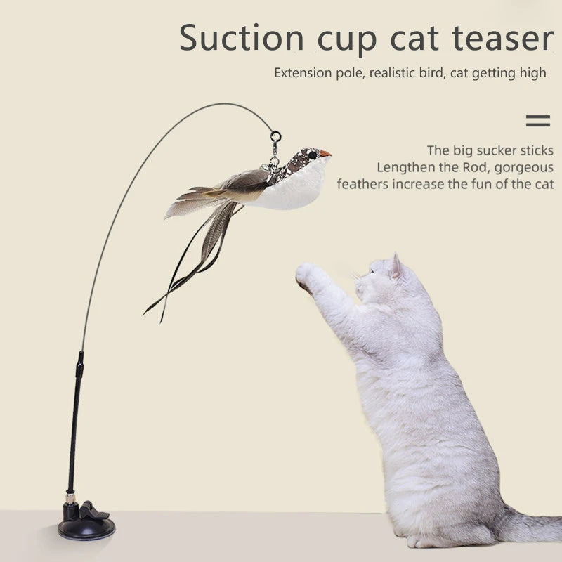 Suction Bird Feather Caty Toy