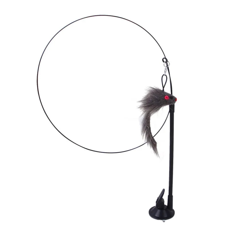 Suction Bird Feather Caty Toy