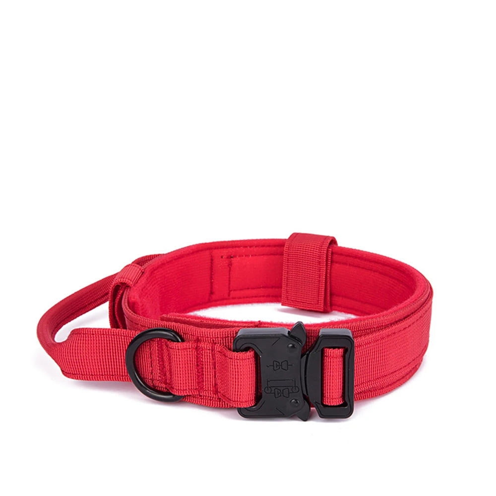 Nylon Pet Dog Collar & Leash Set
