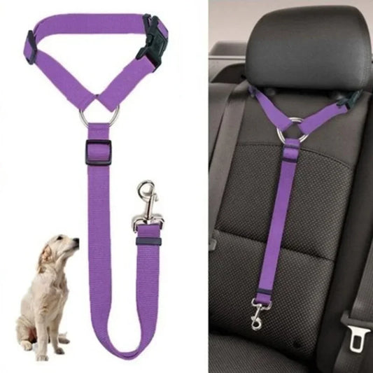 Pet Seat Belt & Leash