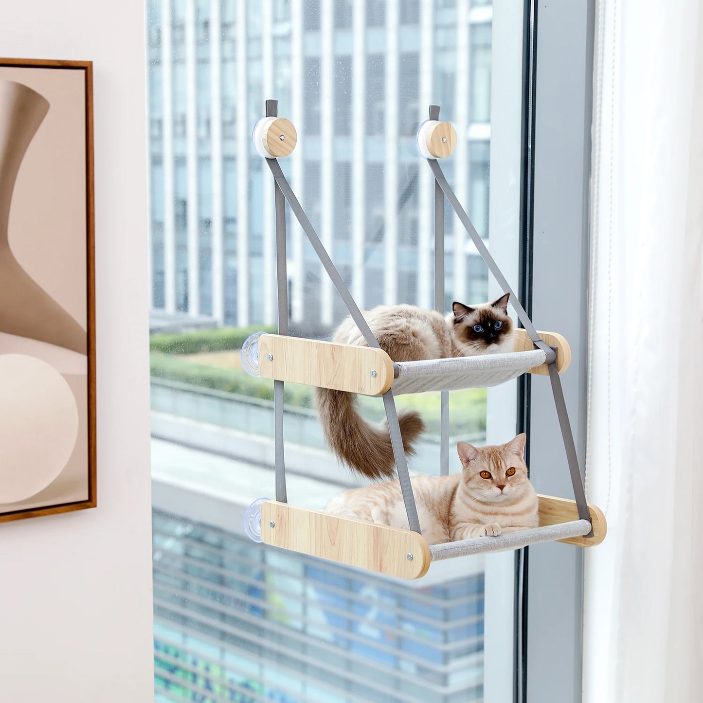 Double Cat Window Hammock Perch