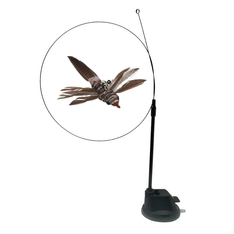 Suction Bird Feather Caty Toy