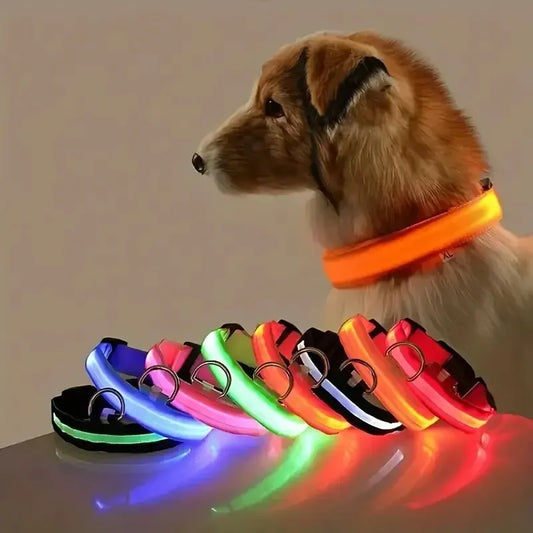 LED Glow Dog Collar