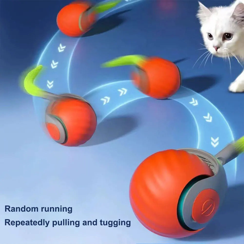 Smart Moving Cat Toy