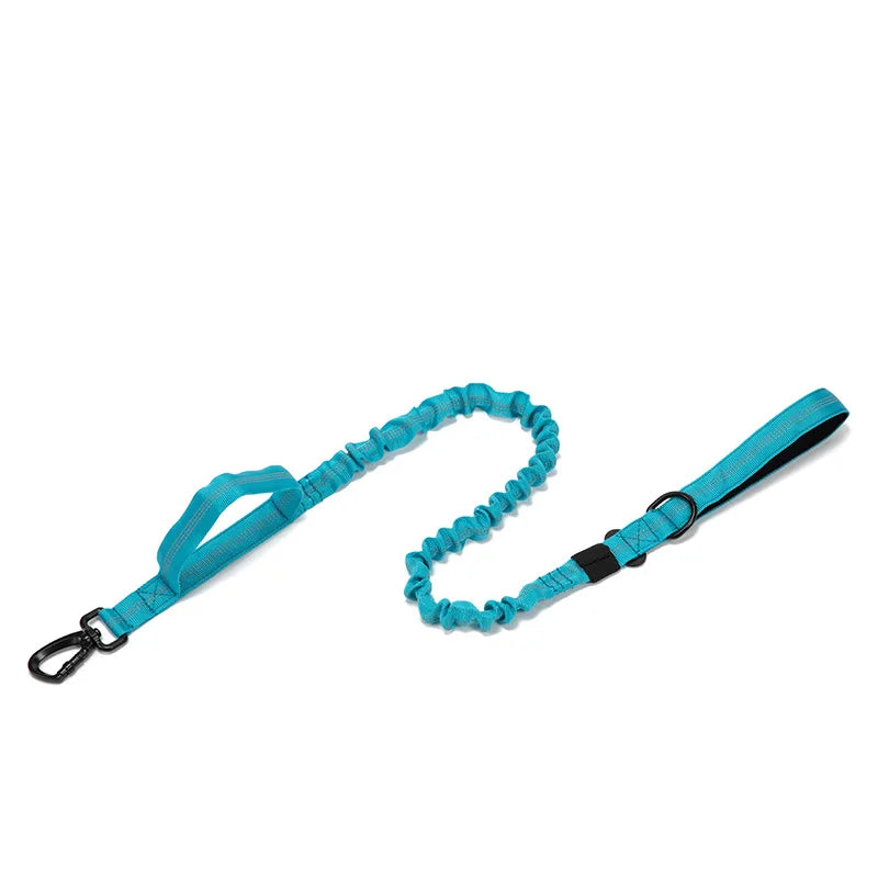 Nylon Pet Dog Collar & Leash Set