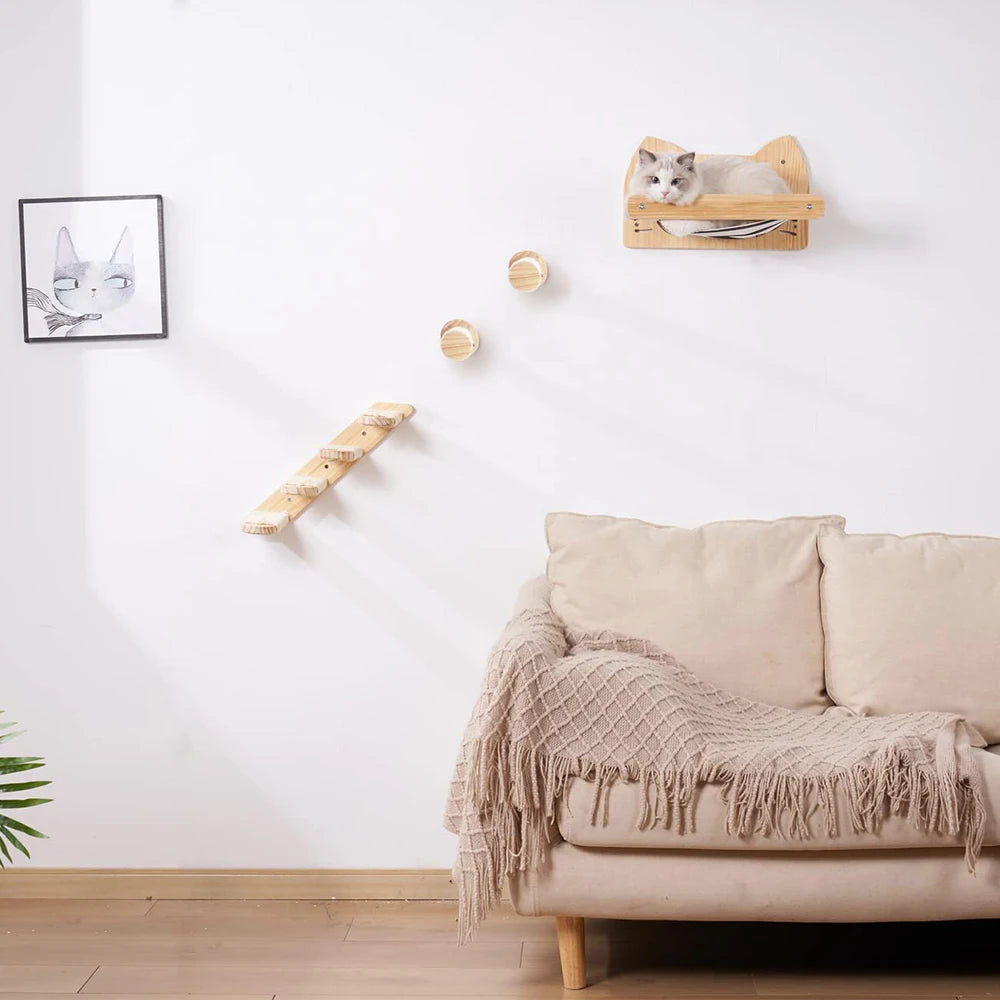 Wall-Mounted Cat Accessories