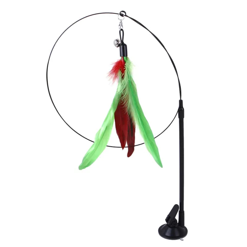Suction Bird Feather Caty Toy