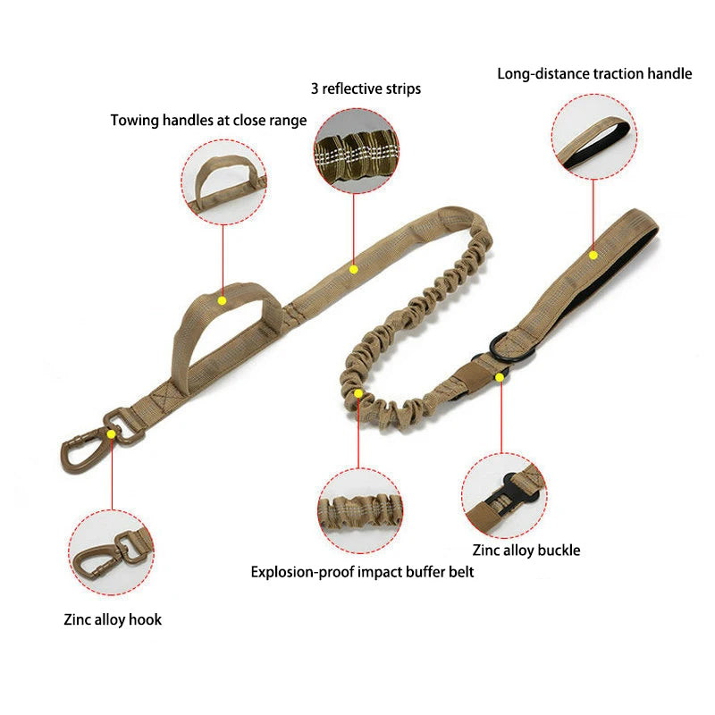 Nylon Pet Dog Collar & Leash Set