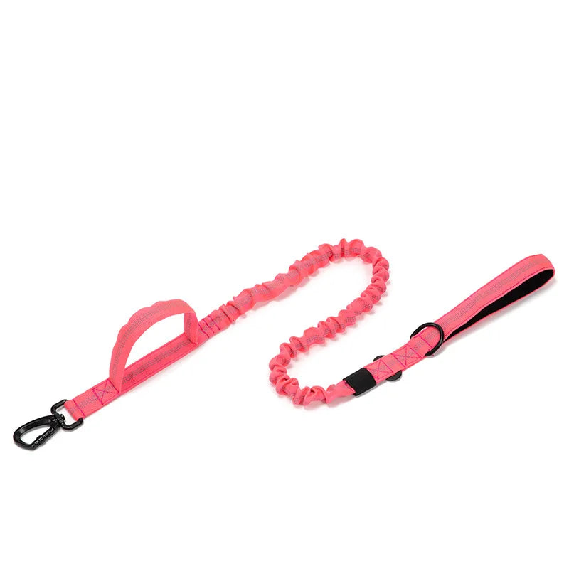 Nylon Pet Dog Collar & Leash Set